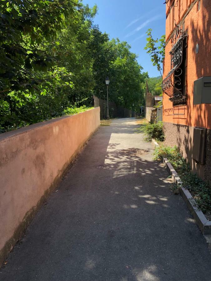 Gite "Rempart Sud" A Ribeauville Εξωτερικό φωτογραφία